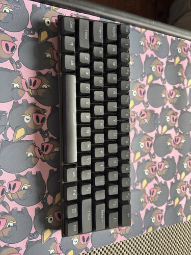 Tastiera anne pro usata - pro,